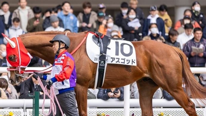 【アスゴッド】中一週で来週出走へ、一度使った次は勝負!