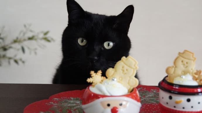 クリスマスのプリンにゃの。