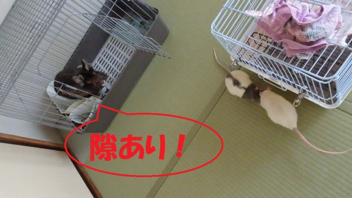 10年って・・・