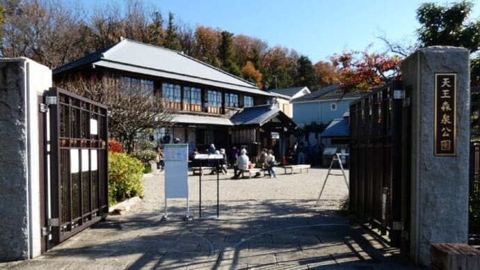 ・ 天王森泉公園~俣野公園へ散策 (2021/12/15)