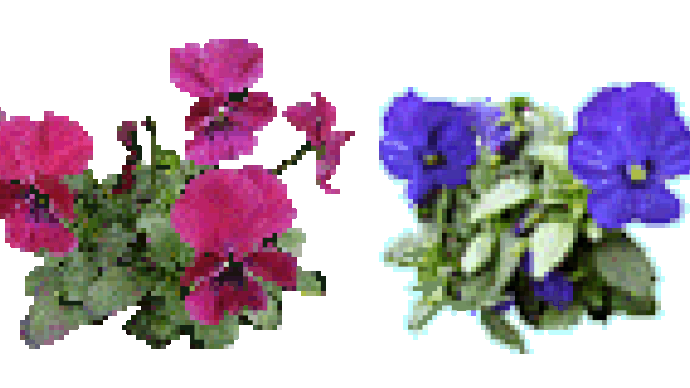 ペイント3dで作成した作品 すうちゃんの窓 ペイント3dで作成した作品 すうちゃんの窓