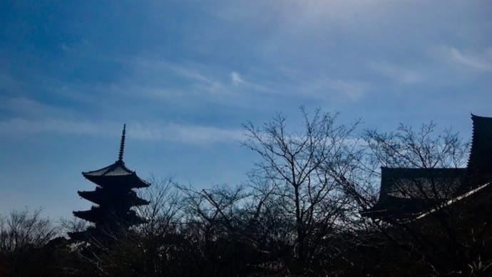壮大なる歴史のあかし 【東寺-国宝五重塔-】