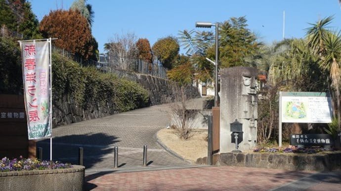 手柄山温室植物園で「新春洋ラン展」を観てきました。
