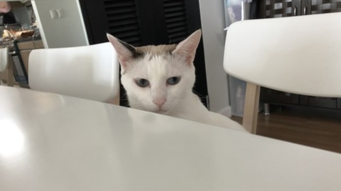 なな、気になって気になって。
