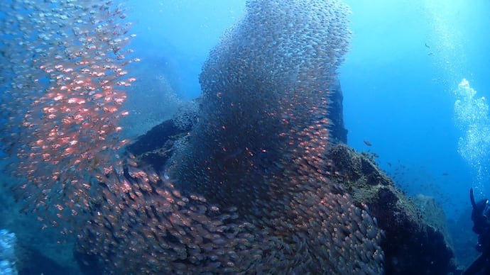 海からのお便り(^^)/