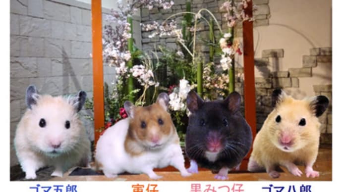 2022年1月のカレンダー作りました~