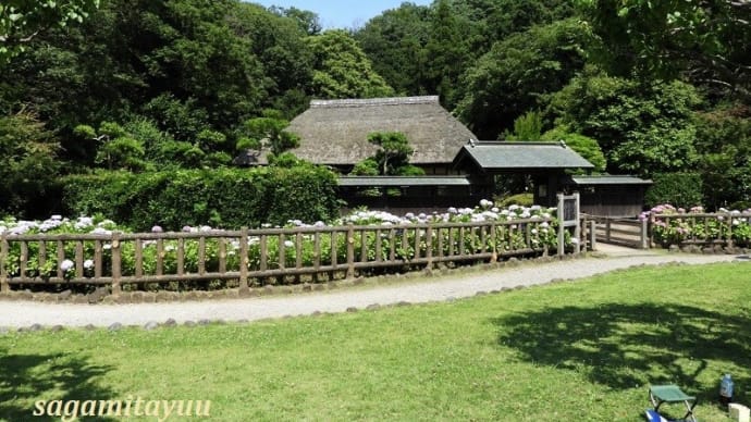 新林公園内に柄沢の旧家「旧小池家住宅」 の全容!!