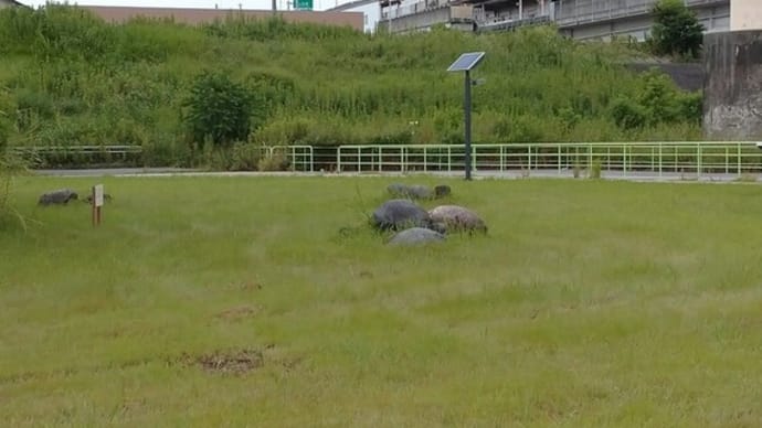少しだけウニモグ_ベンツを走らせに・・・・