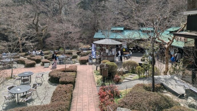 澤乃井園&酒蔵見学!帆立と甘夏のカルパッチョでひとり晩酌‼