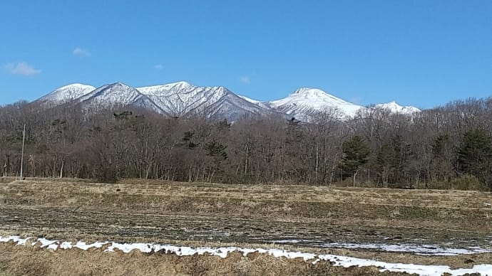 3月ですね。なかなか物事が動かないし身体も動かないのです。