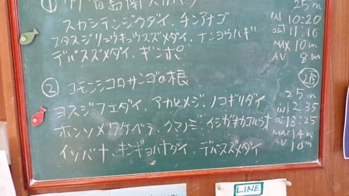 20240926ダイビングログ