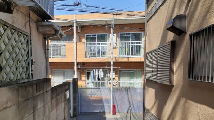 路地を行ったら「石神井川」に出た。