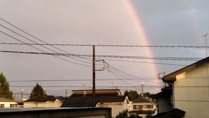 真理ちゃんを思い出した