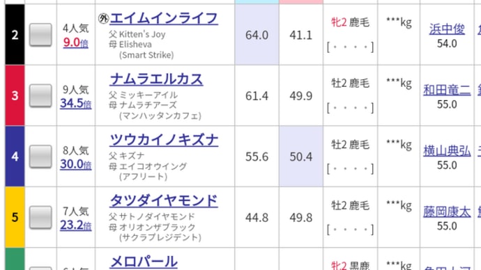 今日の新馬戦