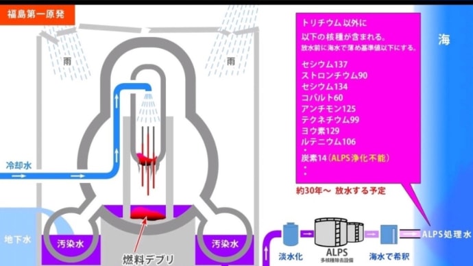 処理水放出を世界に発信するチャンスを逃す?
