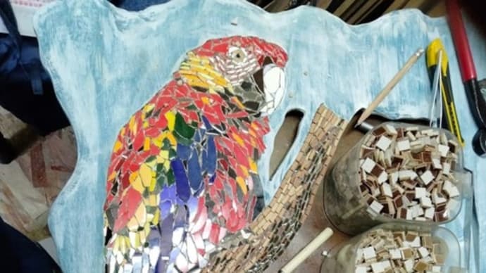 オウムの鏡のリピーターさん教室と高洲のサークル下地完成