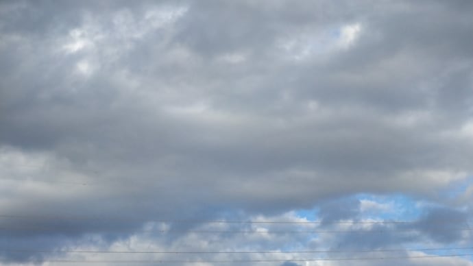 台風🌀さんが運んで来た、湿った空気に参る参る1日でしたぁ~