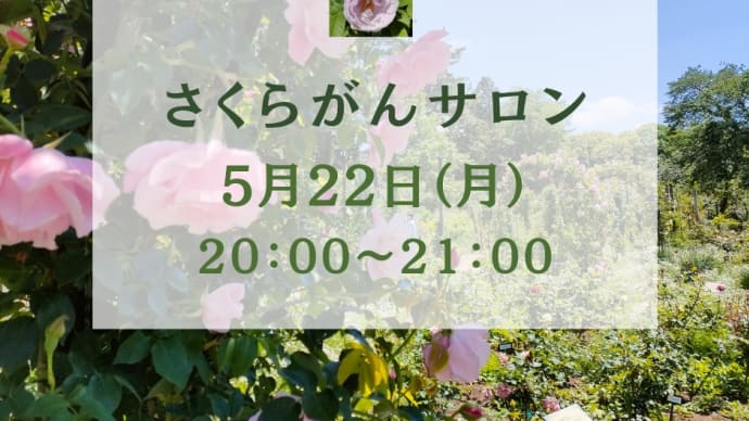 2023/05/04選挙運動費用収支報告書の作成