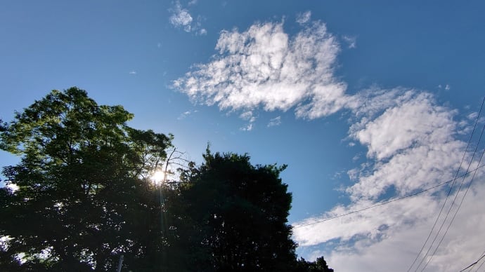 33.1℃