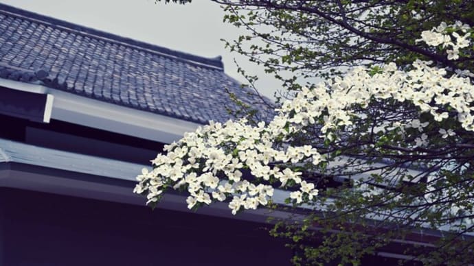 大安寺 火渡り式