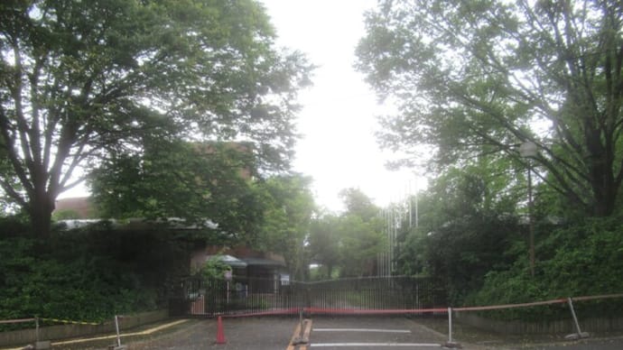 京都駅から大阪国際大学行のバス、後継施設ができるとどうなる?