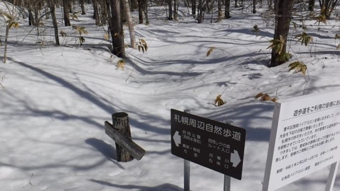 雪上ハイク in 西岡山中