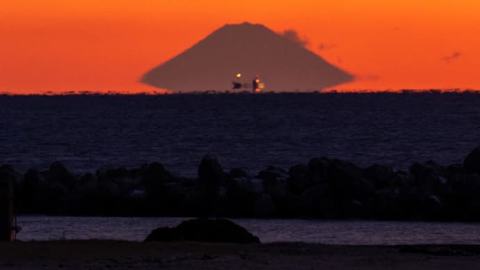 楽しい陸上