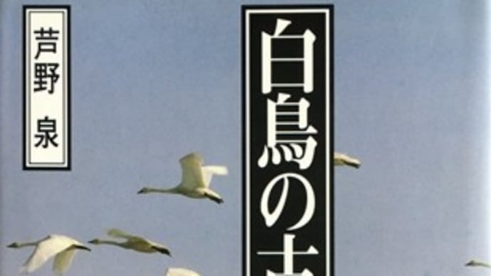 「白鳥と古代史（芦野泉）」前編～東近江市の古代白鳥の足跡を辿る～