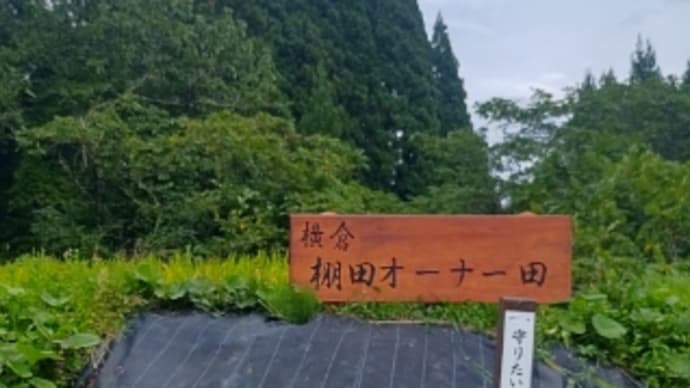 日本の原風景「棚田」と「がろうの滝」(秋田県藤里地区)