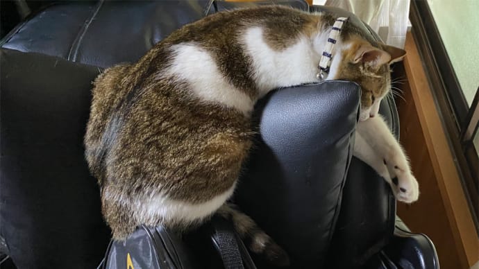 居眠り