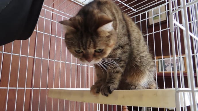 背中ピン❢❢猫背じゃありませんよ💝