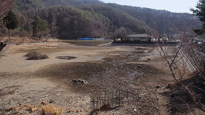 ★松食い虫被害で景観が変わってしまった千鹿頭池周辺 2021