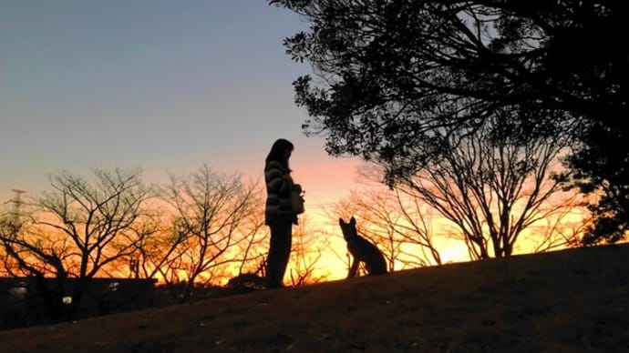 寒いけど　夕景キレイな　季節です