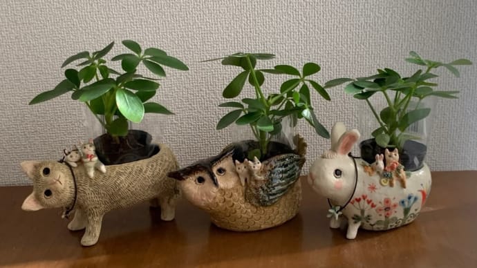 小さな個展でお茶しましょう