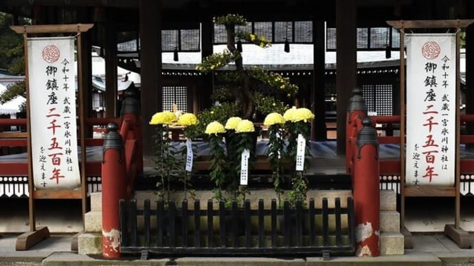 奉納菊花展