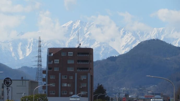 晴れた！久し振りに散歩気分！