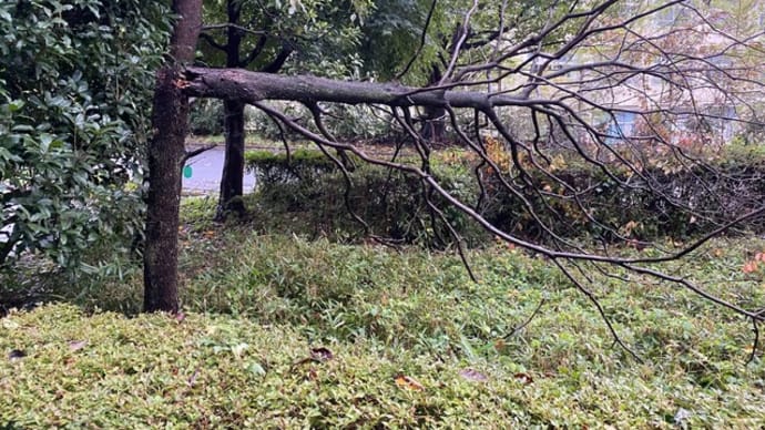 台風・・・大丈夫でしたか?