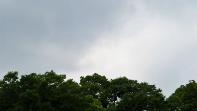 蒸し暑い1日。夜になって、雨がすごいです!