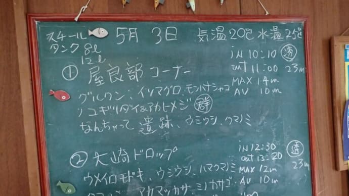 20220503ダイビングログ