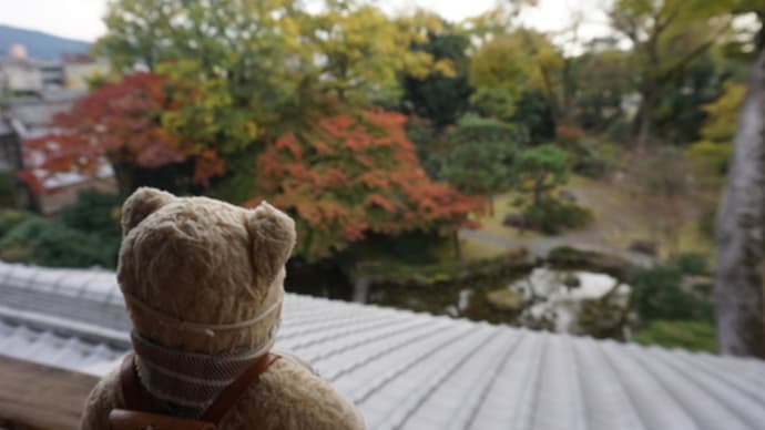 京都秋の特別公開。12月7日まで公開の「旧三井家下鴨別邸」。三階望楼から眺める紅葉の庭