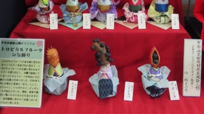 今日は楽しいひな祭り~宇治市植物公園2025/3上旬(1)