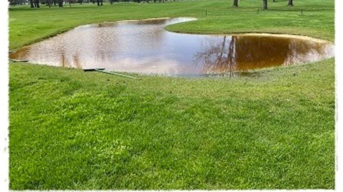 嵐の後のゴルフ場