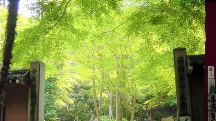 京都・滋賀 ぶらり 2006年