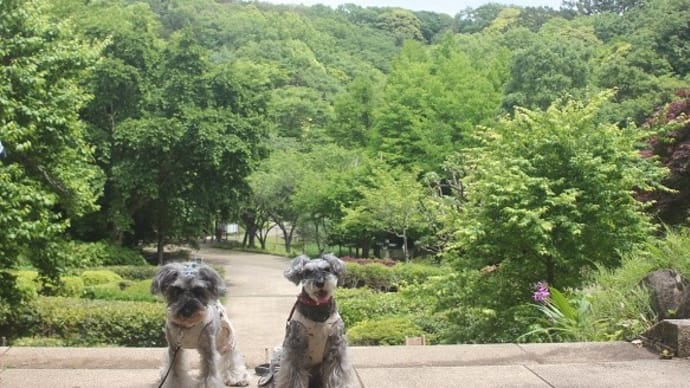 鎌倉中央公園へ緑を見に(前編)