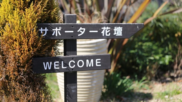 サポーター花壇