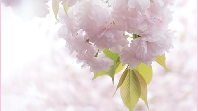 清明