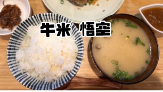 【国分寺】平飼い卵の卵かけごはんも美味しい!バーグ定食のお店@牛米 悟空