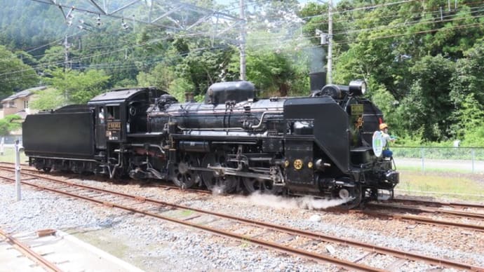 秩父鉄道 SLパレオエクスプレス…🚂