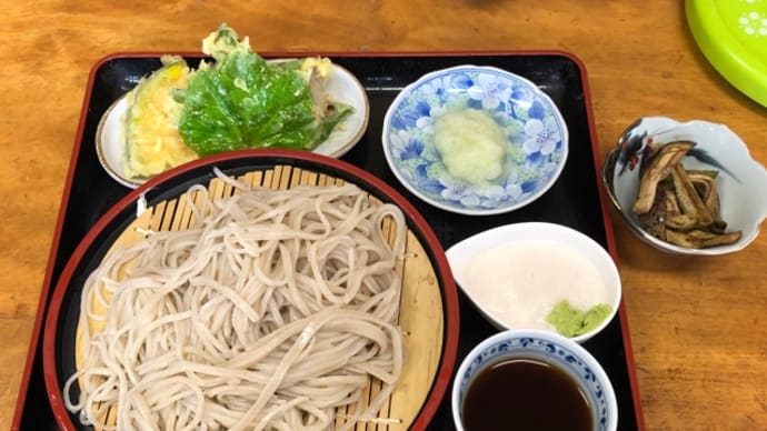 家族旅行の記録 その5(蕎麦と諸橋近代美術館)