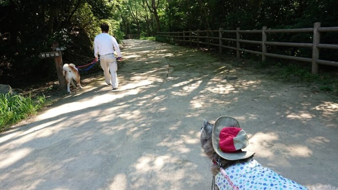 甲山森林公園~♬